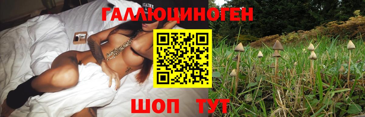 Галлюциногенные грибы ЛСД  Псилоцибиновые грибы Psilocybe  Вход с VPN  Заринск 